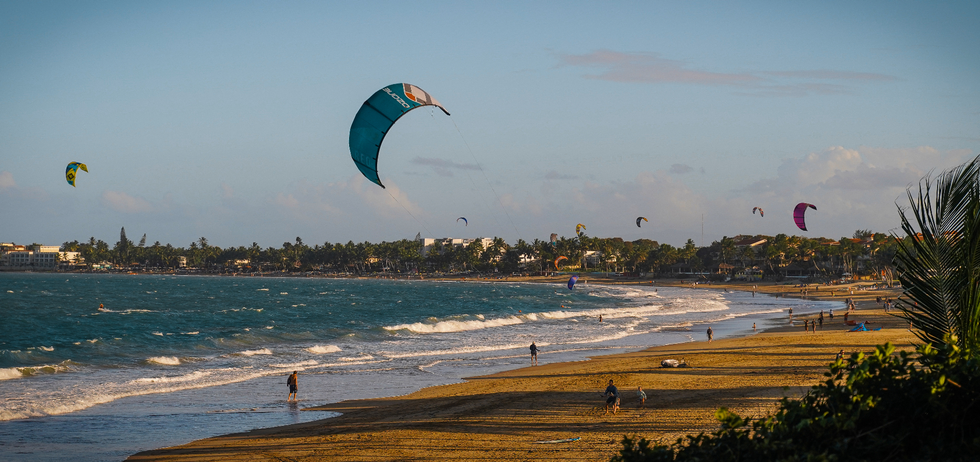 Cabarete Kites